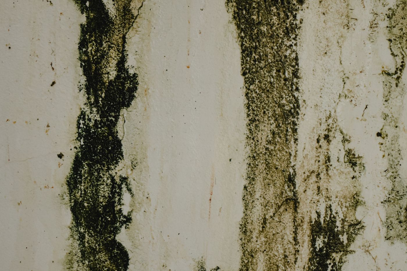 Vorher: feuchte Wand mit Schimmel und Salzausblühungen